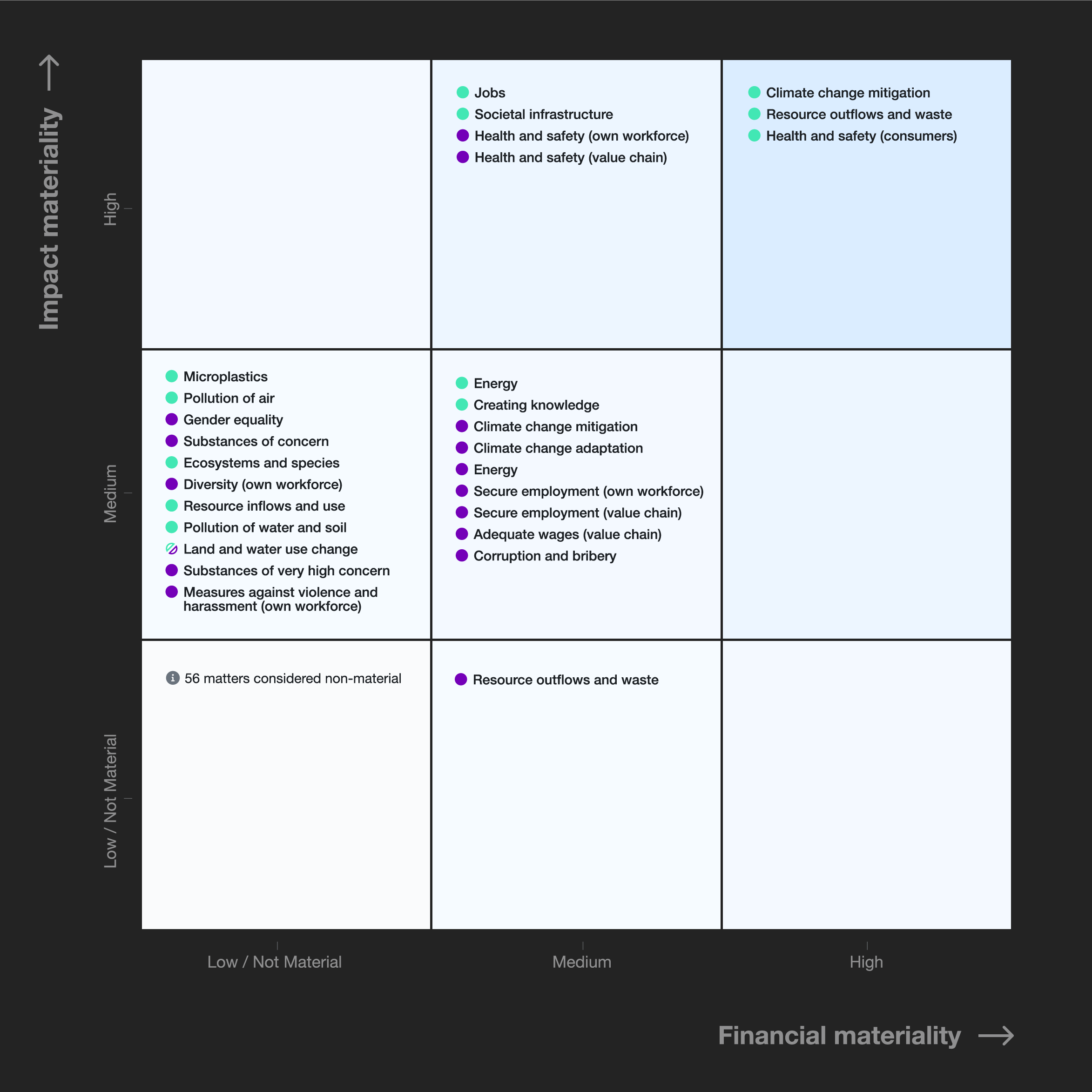Double Materiality Assessment: Materiality Matrix 